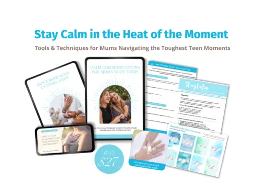 The Stay Calm in the Heat of the Moment Toolkit